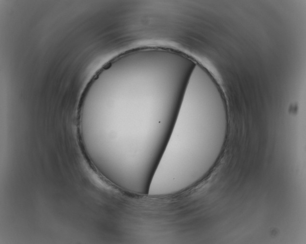 X0000093250895200709261554