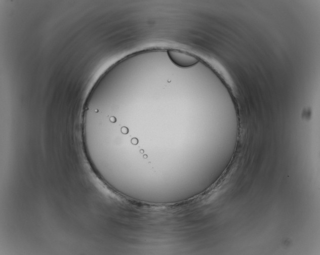 X0000093250903200709261554
