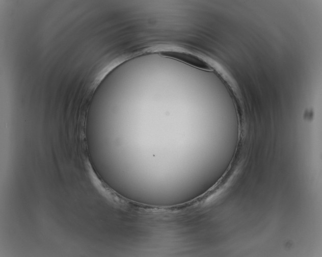X0000093250905200709261554