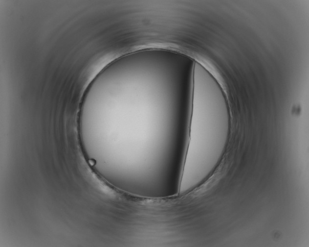 X0000093250906200709261554