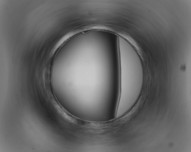 X0000093250910200709261554