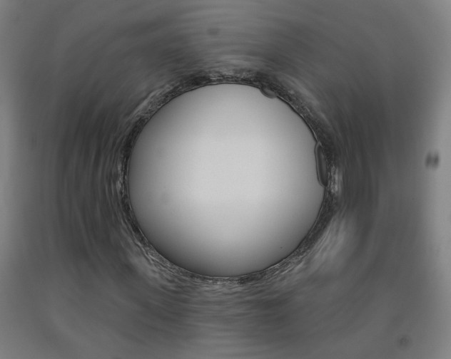 X0000093250915200709261553