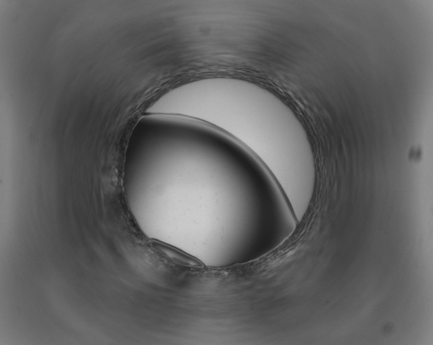 X0000093250916200709261553