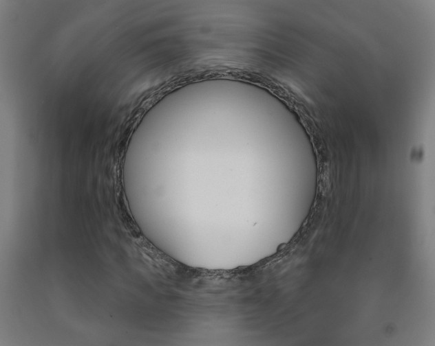 X0000093250917200709261553