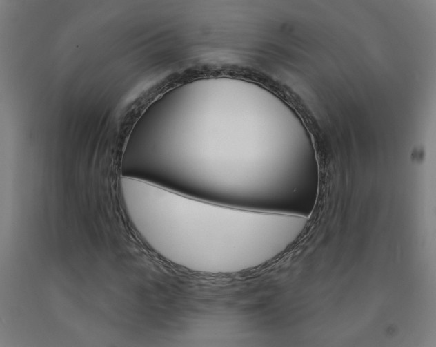 X0000093250919200709261553