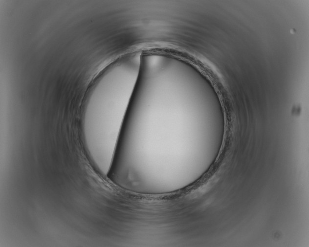X0000093250921200709261553