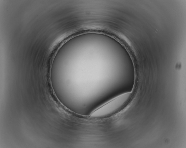 X0000093250922200709261553