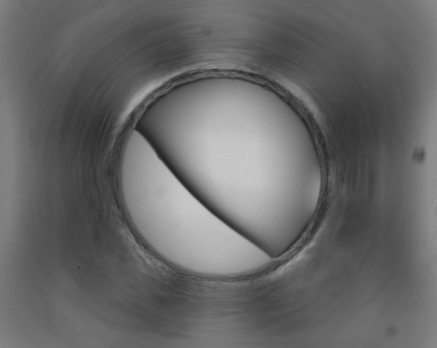 X0000093250925200709261553