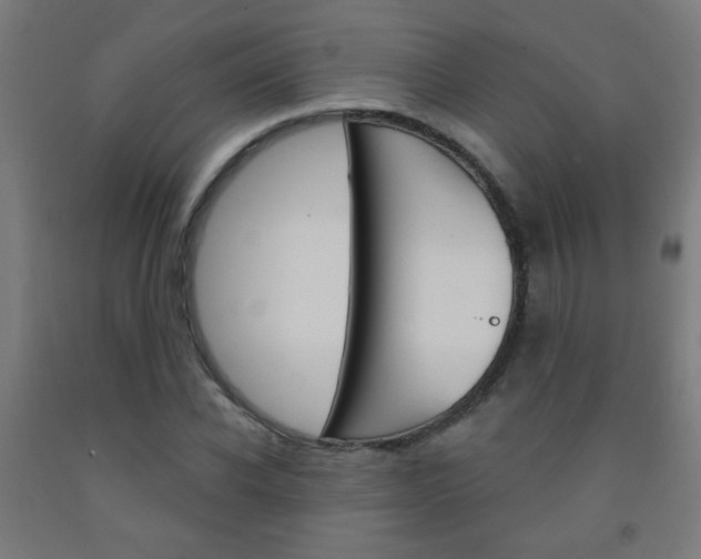 X0000093250926200709261553