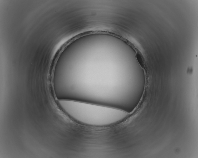 X0000093250928200709261553