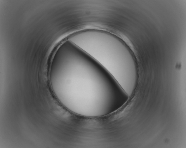 X0000093250931200709261553