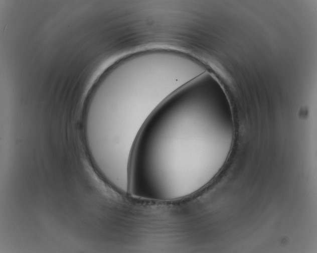 X0000093250934200709261553