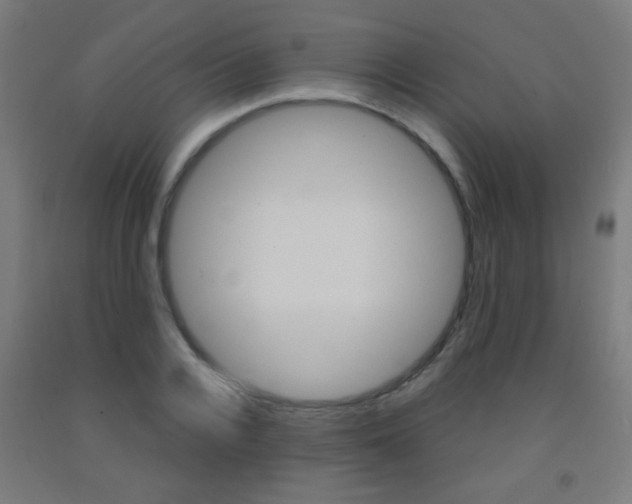X0000093250936200709261553