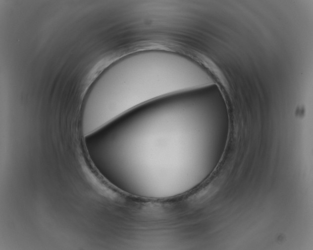 X0000093250938200709261553
