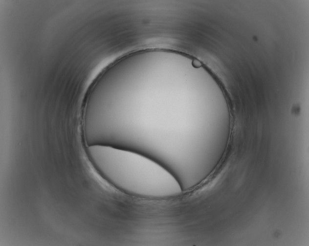X0000093250941200709261553