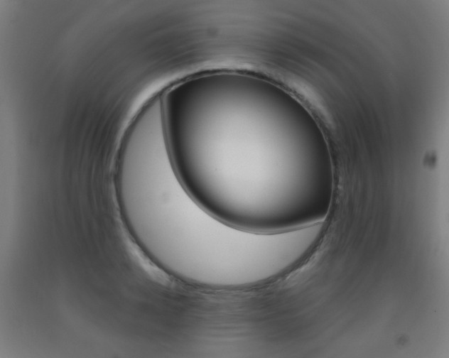 X0000093250942200709261553