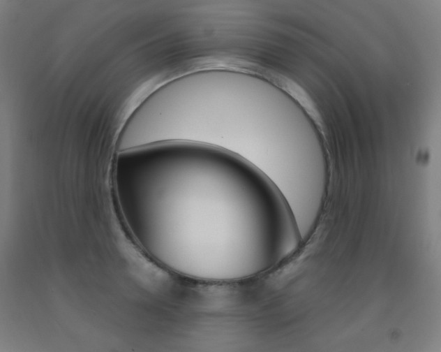 X0000093250946200709261553