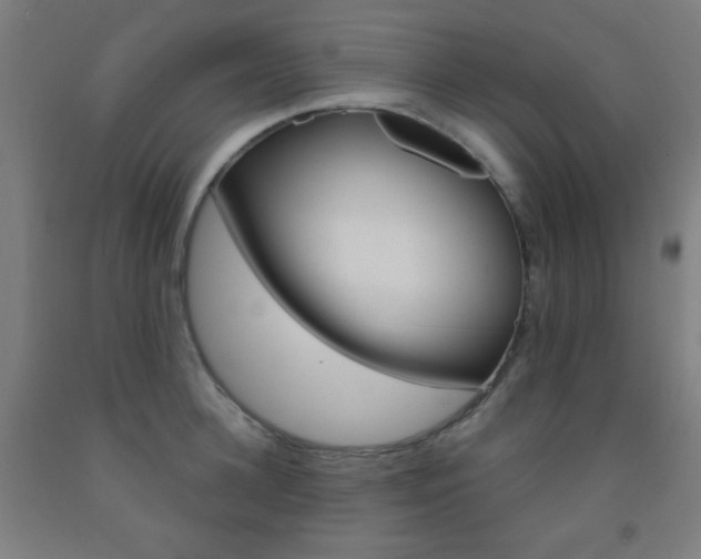 X0000093250948200709261553