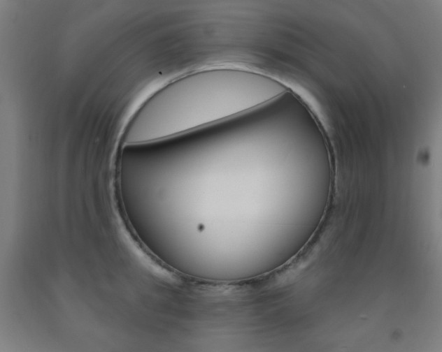 X0000093250949200709261553