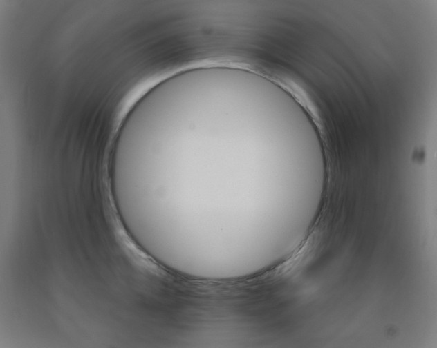 X0000093250952200709261554