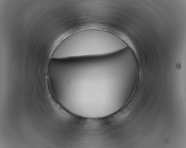 X0000093250954200709261554