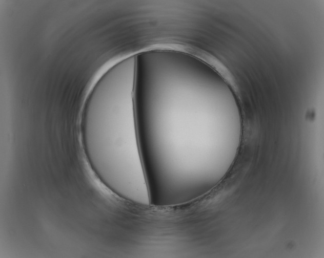 X0000093250955200709261554