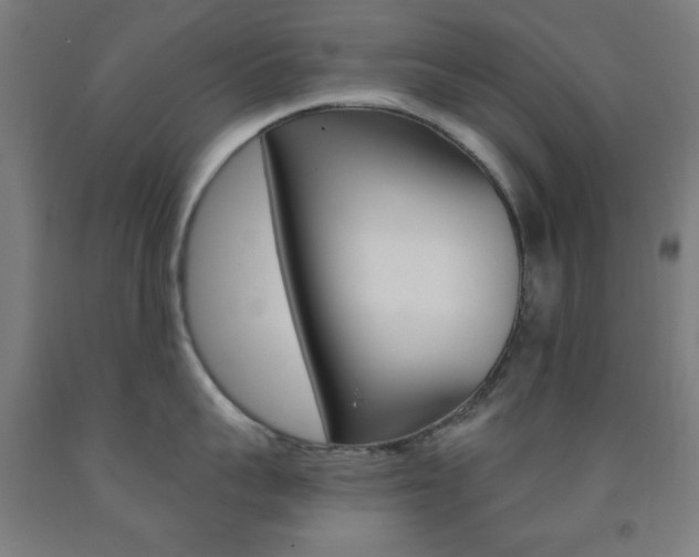 X0000093250959200709261554