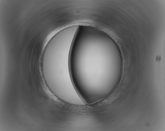 X0000093250960200709261554