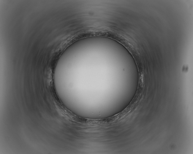 X0000093250963200709261553