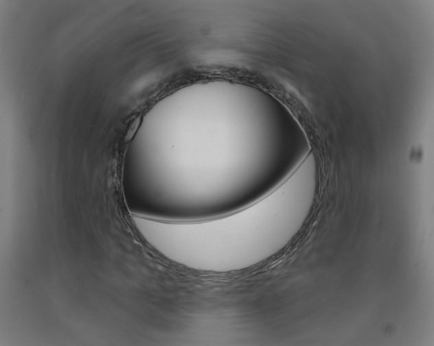 X0000093250965200709261553