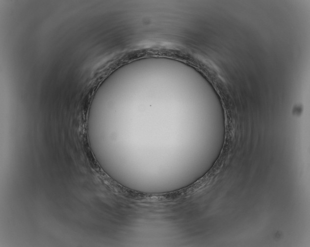 X0000093250966200709261553