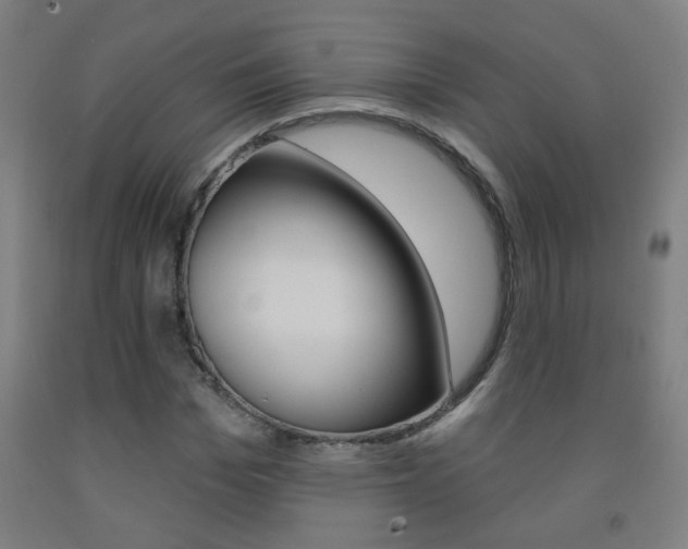 X0000093250969200709261553