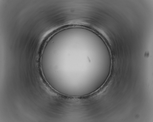 X0000093250971200709261553