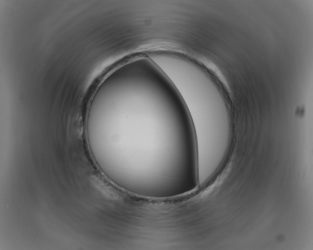 X0000093250973200709261553
