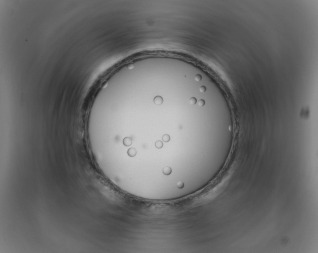 X0000093250974200709261553