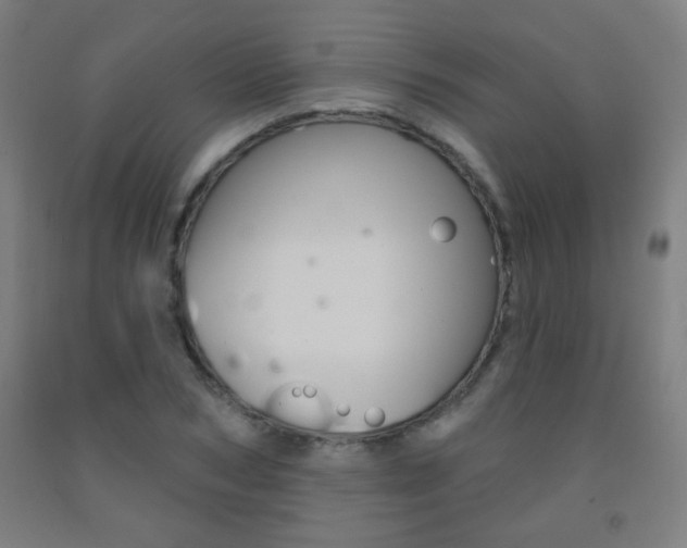 X0000093250978200709261553