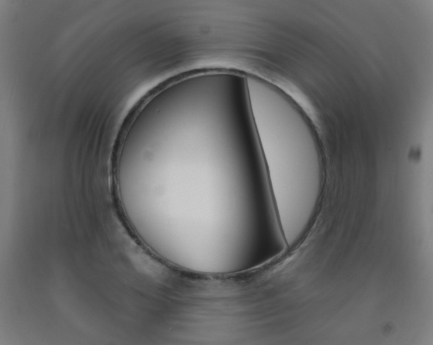 X0000093250980200709261553
