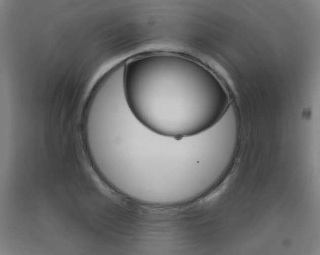 X0000093250981200709261553