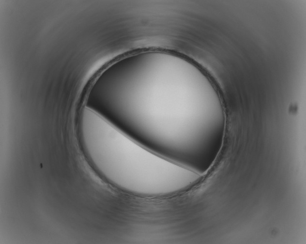 X0000093250983200709261553