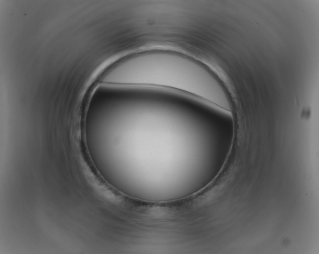 X0000093250984200709261553