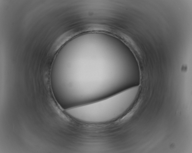 X0000093250985200709261553