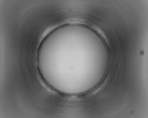 X0000093250986200709261553