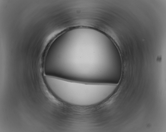 X0000093250987200709261553