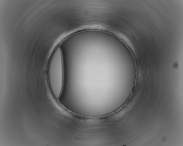X0000093250989200709261553