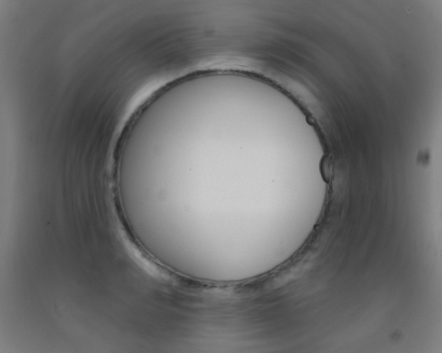 X0000093250990200709261552