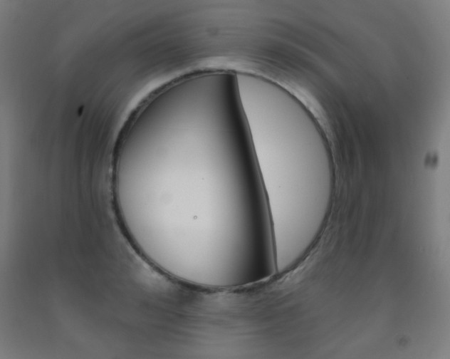 X0000093250992200709261552