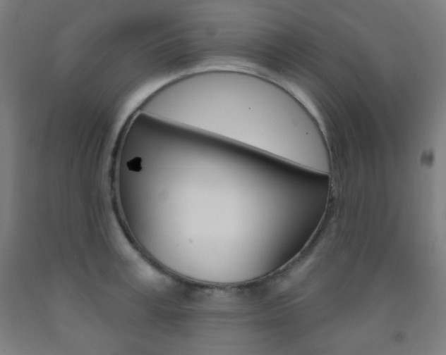 X0000093250995200709261552