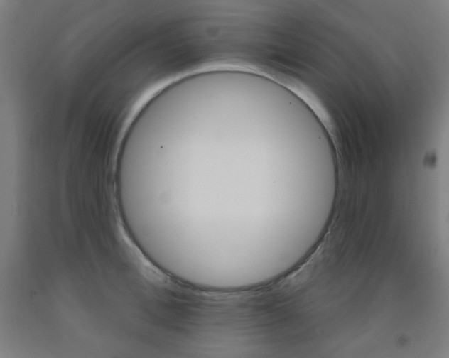 X0000093250996200709261552