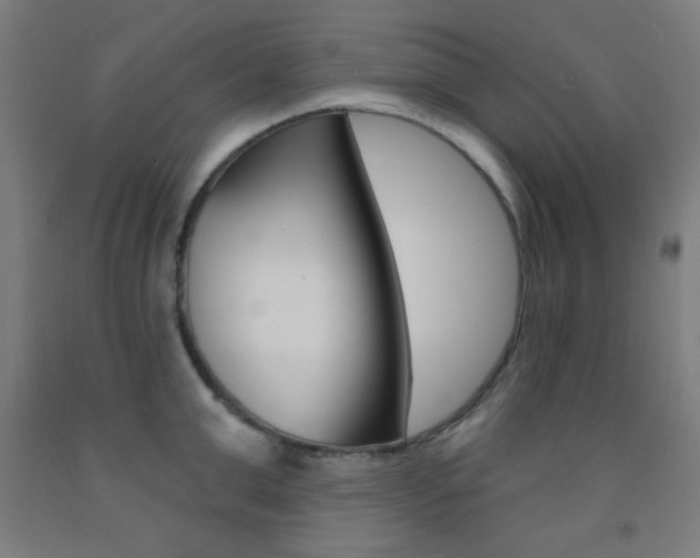 X0000093250999200709261552