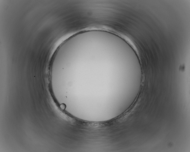 X0000093251003200709261552